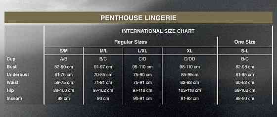 Мини-платье с открытой спиной и стрингами Penthouse - Earth-Shaker White S/M Sex Aura Киев
