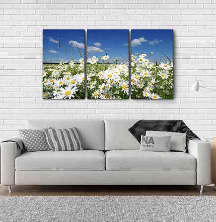 Модульная картина Природа Ромашка Art-47_3А Киев