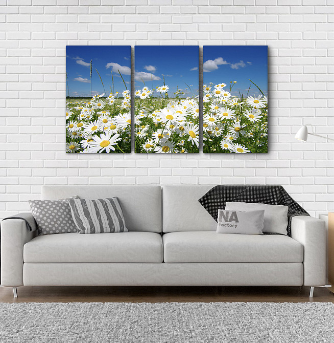 Модульная картина Природа Ромашка Art-47_3А Киев - изображение 2
