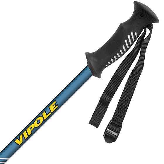 Палки трекинговые Vipole Hiker (S25 16) Вінниця