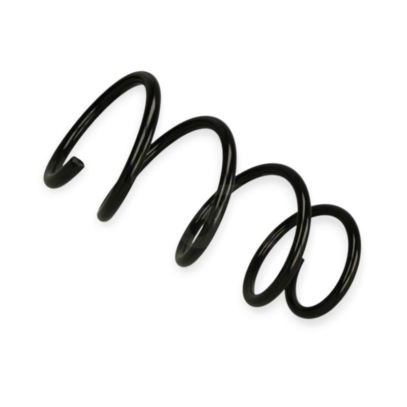 Пружина Рено Kangoo 1.6i, 1.9d 4X4 01- передняя Мукачево - изображение 1