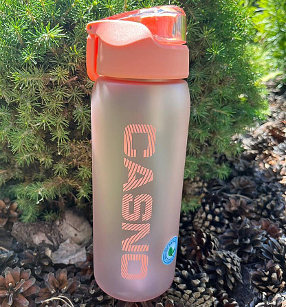 Бутылка для воды CASNO 800 мл спортивная пластиковая фляга для тренировок и фитнеса KXN-1246 Рожева Киев - изображение 1
