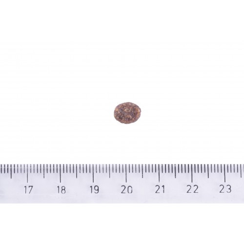 Корм сухий Brit Care Dog Hypoallergenic Adult Small Breed для дорослих собак малих порід від 1 до 10 кг гіпоалергенний з ягн Київ - фото 4