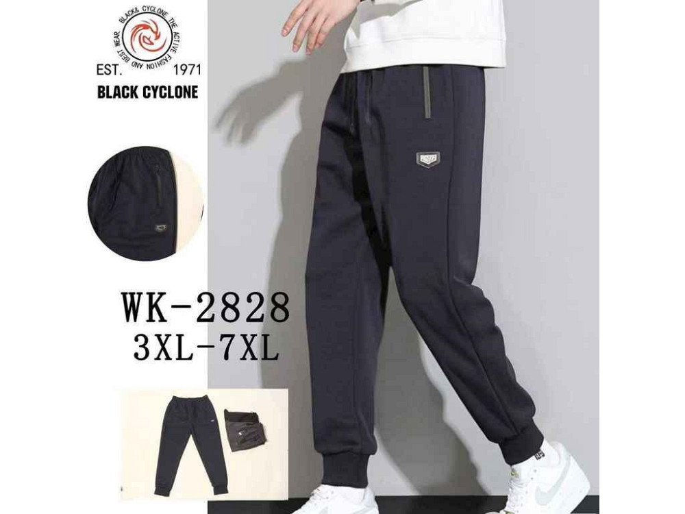 Спортивні штани синій арт.wk2828 р.7XL ТМ CYCLONE Київ - фото 1