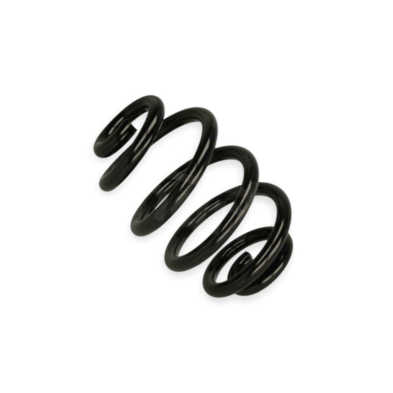 Пружина BMW 3 (E46) 316i, 318d, i, 320d, i, 323i, 325i, xi, 328i, 330d (98-06) HD задняя Мукачево - изображение 1