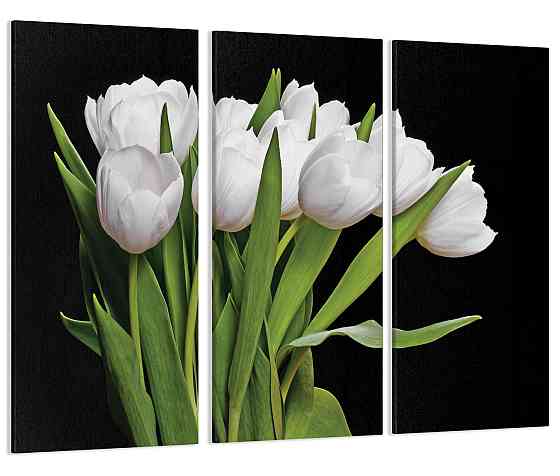 Модульная картина Букет Тюльпаны Art-86_XXL 53x100 см Киев