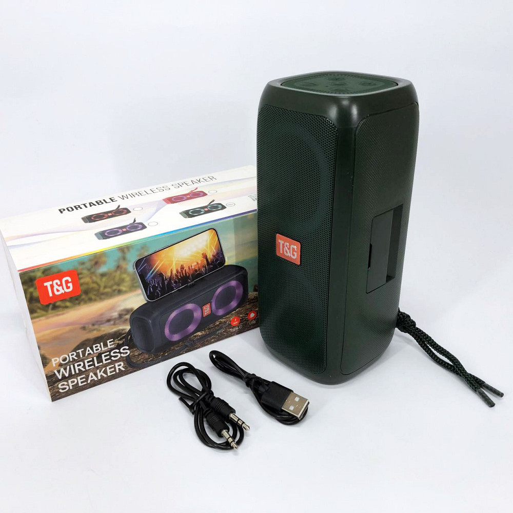 Колонка для домашньої вечірки TG333, Колонка портативна акумуляторна для вечірок на дачі DW-67 Львів - фото 11