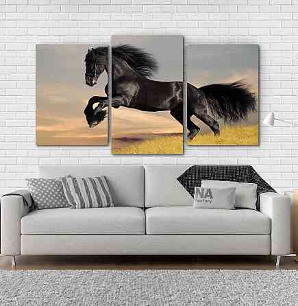 Модульная картина Лошадь Art-87_3 Киев
