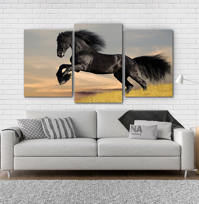 Модульная картина Лошадь Art-87_3 Киев - изображение 2