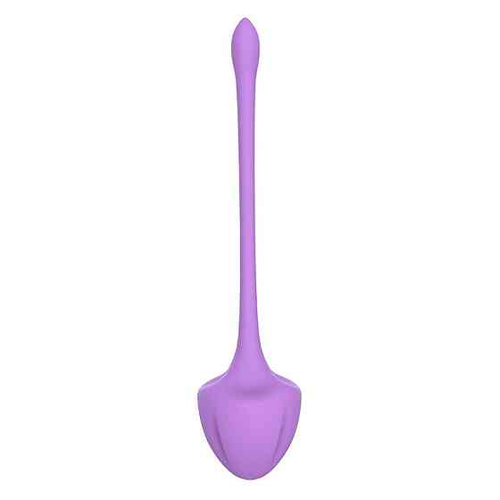 Набір вагінальних кульок Virgo purple Sex Aura Київ