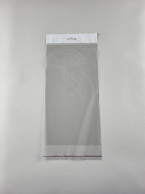 Пакет з еврослотом і липкою стрічкою 16см 30см 25мк (1000 шт) Харків - фото 1