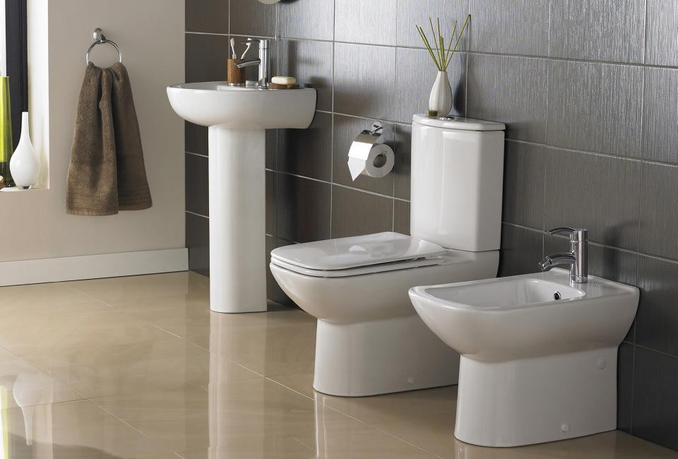 Комплект раковина + ніжка RAK Ceramics Cynthia Wash Basin (57 см) Білий Київ - фото 5