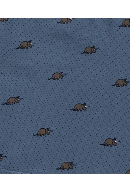 Чоловічі боксери Atlantic 3MH-191 L Київ - фото 2