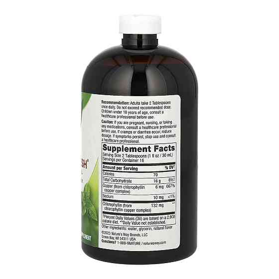 Рідкий хлорофіл Nature's Way Chlorofresh® Liquid - 16 oz Mint Луцьк