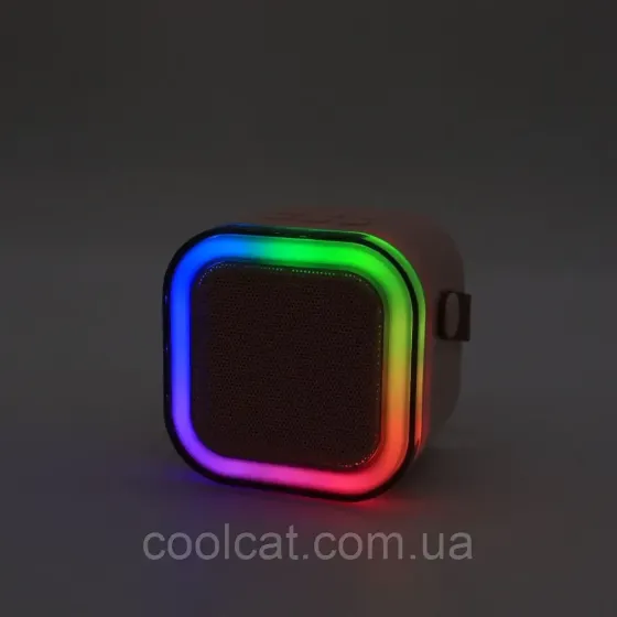 Караоке з 2 мікрофонами К12 + Подарунок Навушники з вушками VZV-23M / Портативна колонка RGB / Дитяче караоке Київ