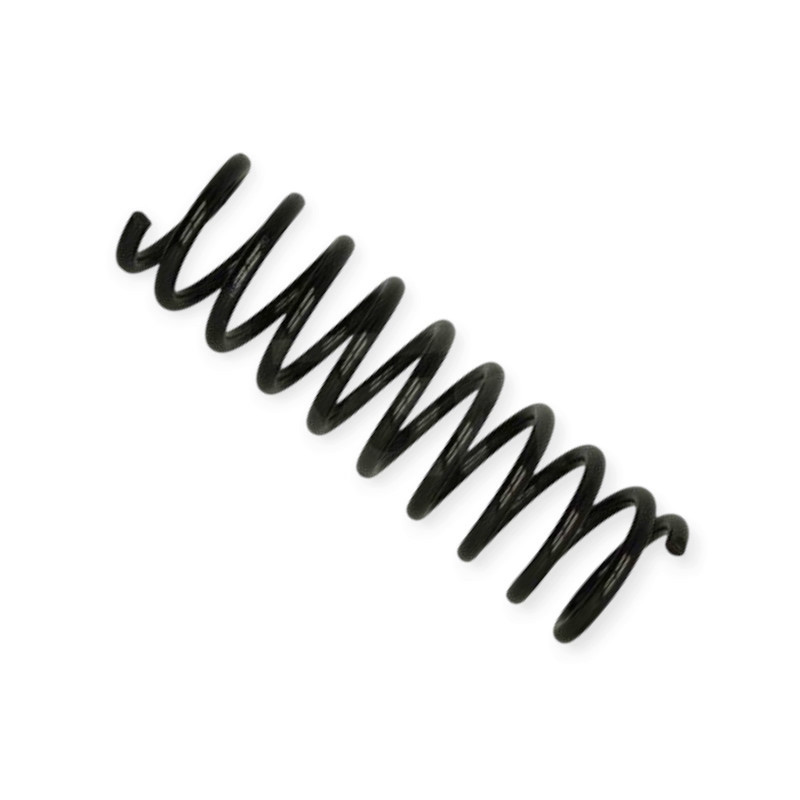 Пружина Ford Focus II Turnier (04-12) задняя Мукачево - изображение 1