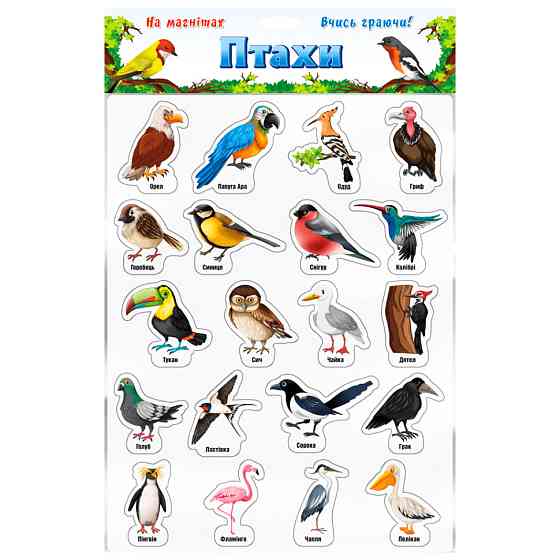 Набір магнітів "Птахи" 1311ATS Вінниця