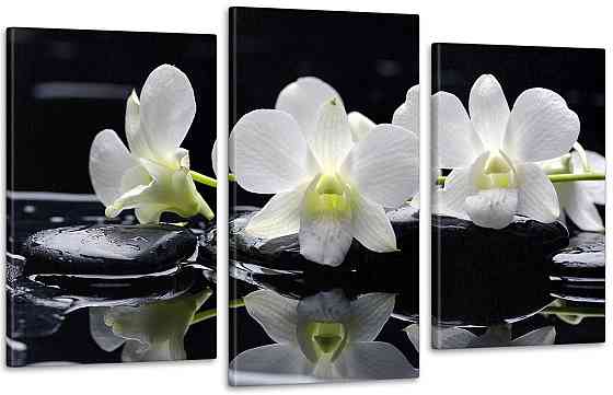 Модульна картина Коліри Орхідея Art-35_3 100x150 см Київ