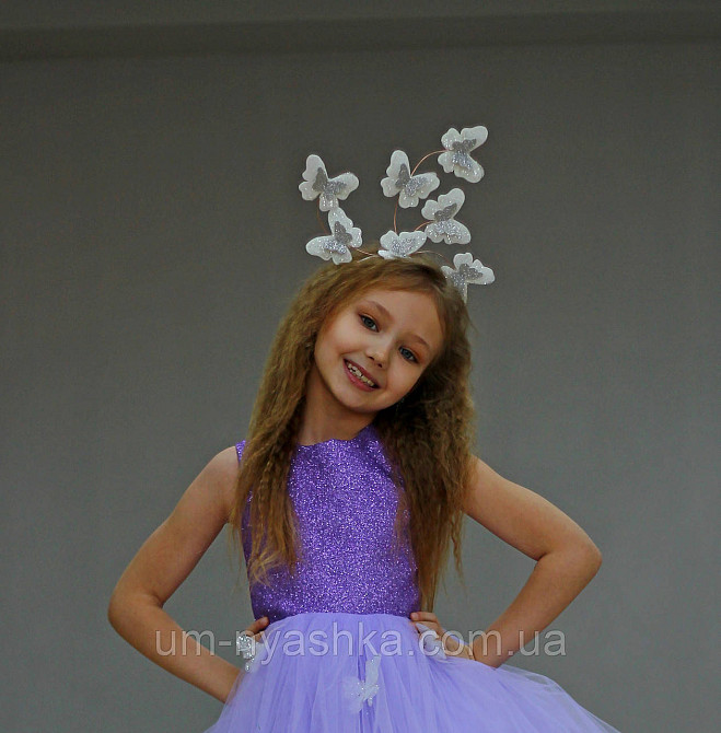 Обруч с бабочками Кривой Рог - изображение 8