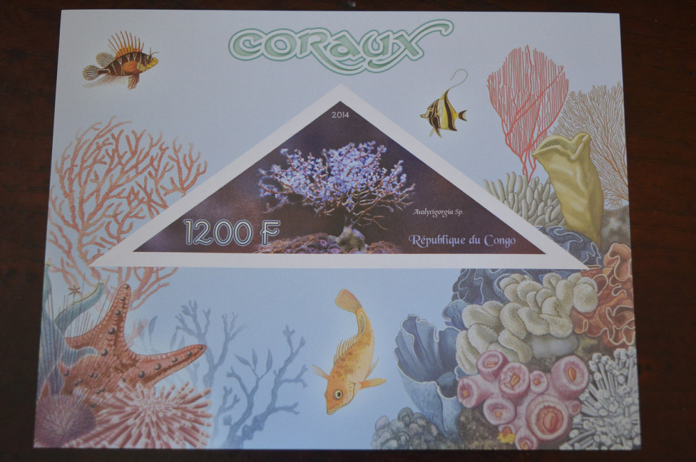 Конго. Фауна. Личности. Блок. 2014 р. (А-34) Полтава - фото 1