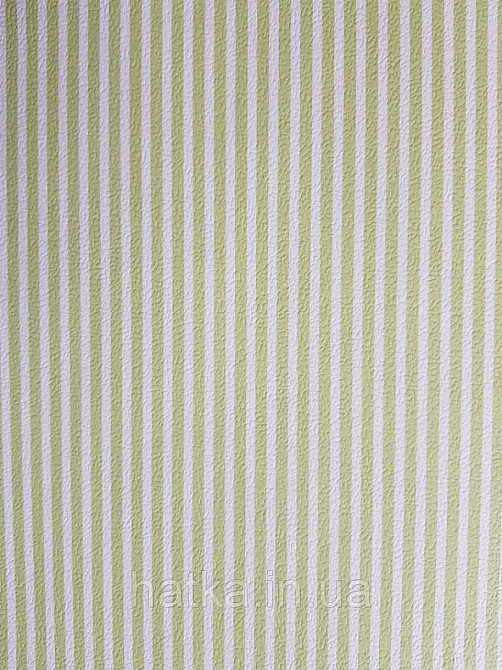 Шпалери вінілові на флізеліні Petite Fleur 4 Rasch Texti 289120 смуги вузькі зелені та білі Київ - фото 1