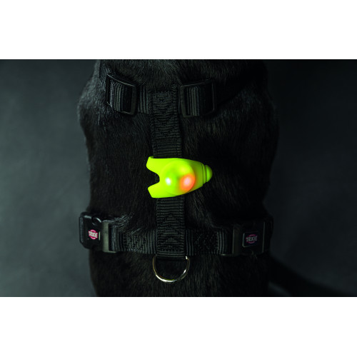 Брелок-ліхтарик Trixie для собак з водовідштовхувальним покриттям силікон 8х2,4 см Київ - фото 10