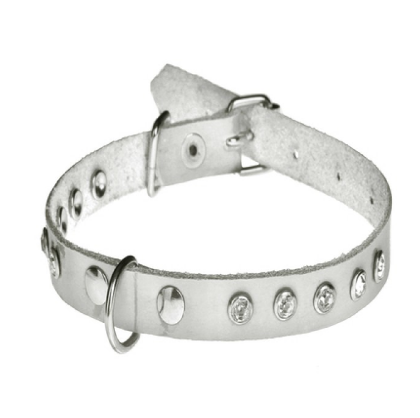 Нашийник 1813 10мм "Елегант" шкіра одинарний прикрашений стразами, Беживий Вінниця - фото 1