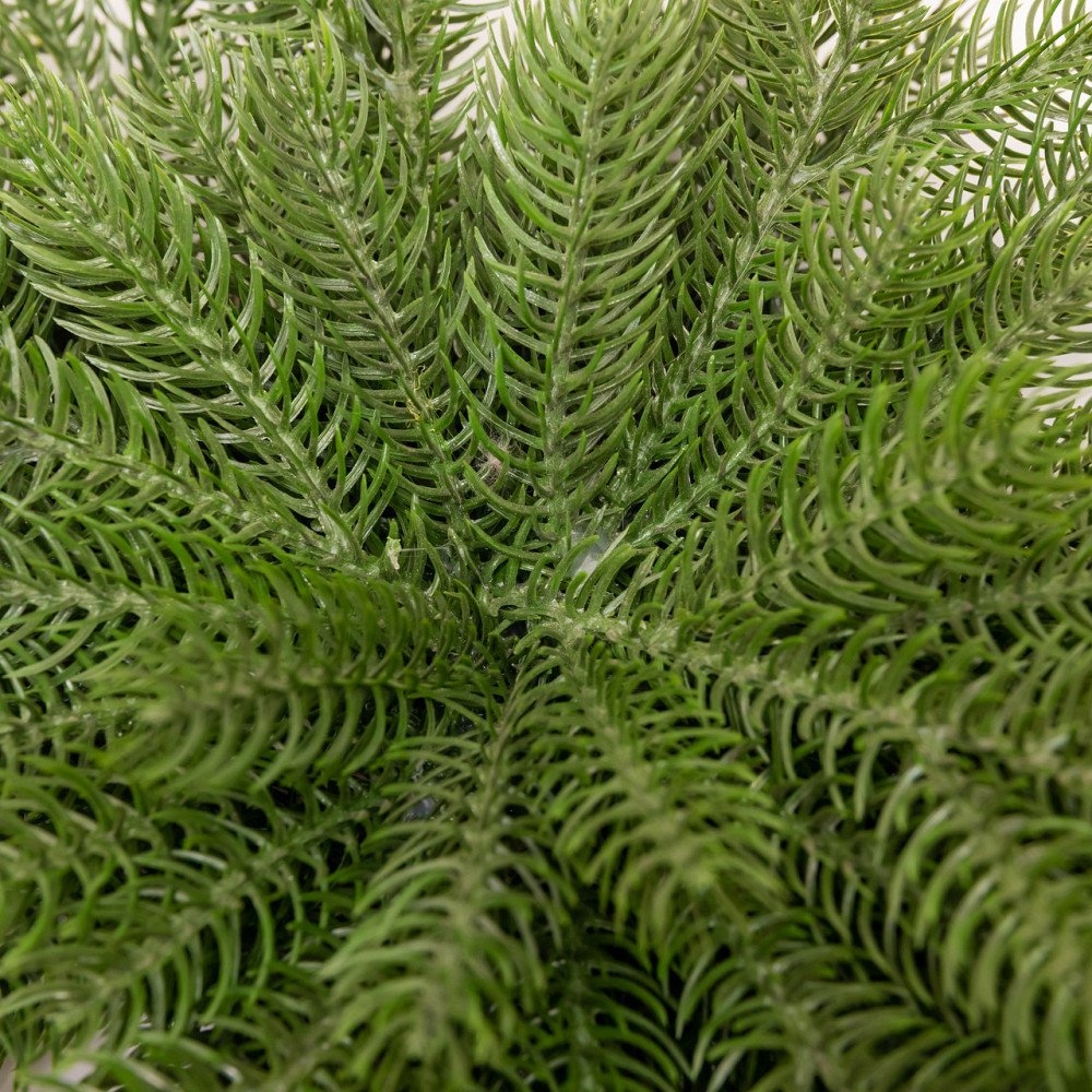 Lugi Новорічна хвойна гірлянда лита зелена Північна зірка 60*35 см TD-NSTGR1 Киев - изображение 6