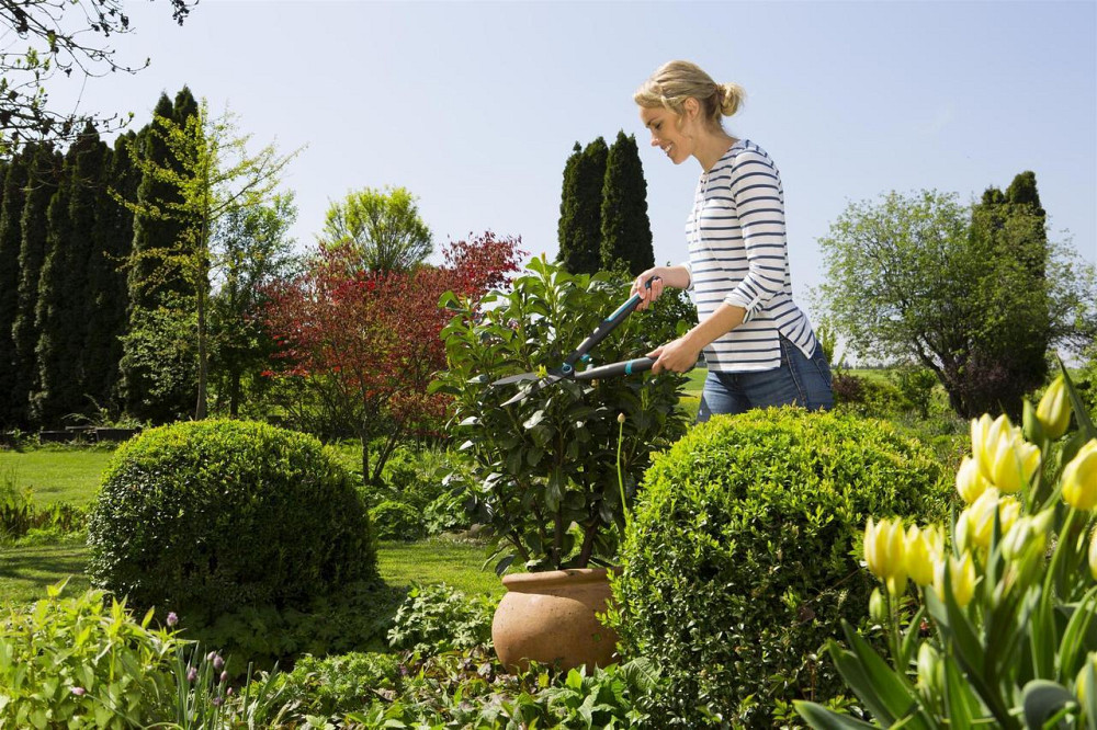 Ножиці для живоплоти Gardena EasyCut (12301-20.000.00) Харків - фото 7