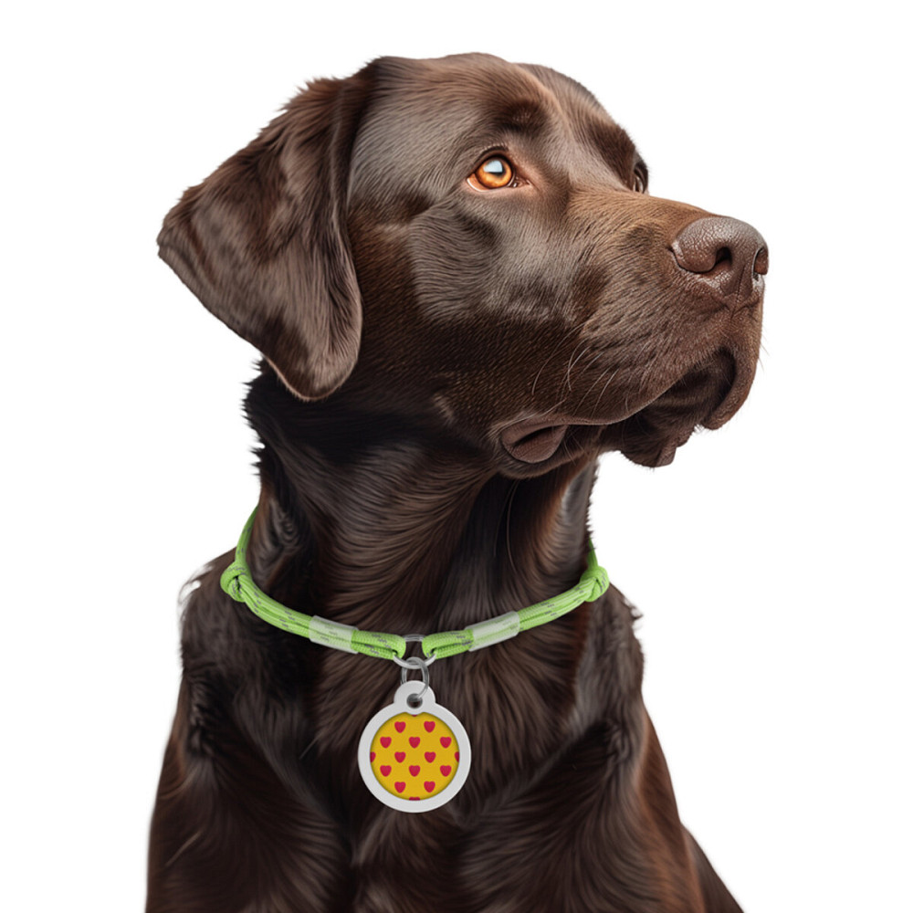 Шнурок для адресника из паракорда WAUDOG Smart ID, светящийся в темноте, светоотражающий, размер М, диаметр 4 мм, длина 42-76 см салатовый Киев - изображение 2