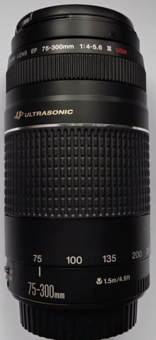 Объектив: CANON EF 70-300 4/5.6 III USM Киев - изображение 1