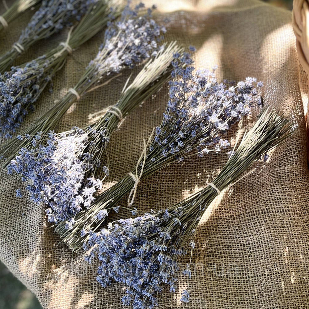 Цветы лаванды в пучке 70-90 шт до 30 см Ирпень - изображение 2