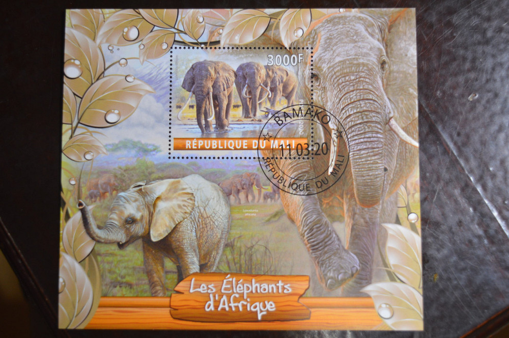 Мали. Марки. Фауна. Блок. 2020 год (В-1) Полтава - изображение 1