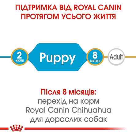 Корм для цуценят породи Чихуахуа ROYAL CANIN CHIHUAHUA PUPPY 0.5 кг Київ