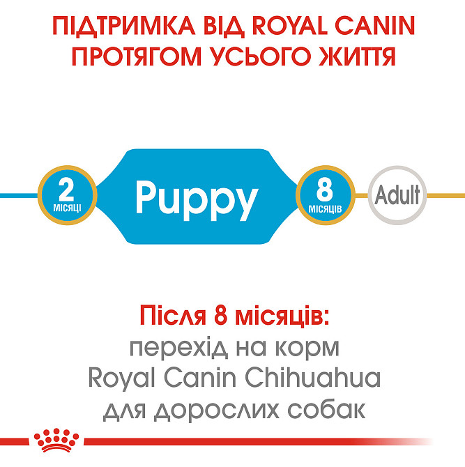 Корм для цуценят породи Чихуахуа ROYAL CANIN CHIHUAHUA PUPPY 0.5 кг Київ - фото 5