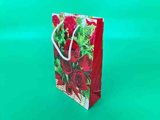 Паперовий пакет подарунковий Середній 17/26/8 (артSV-127) (12 шт.) Харків