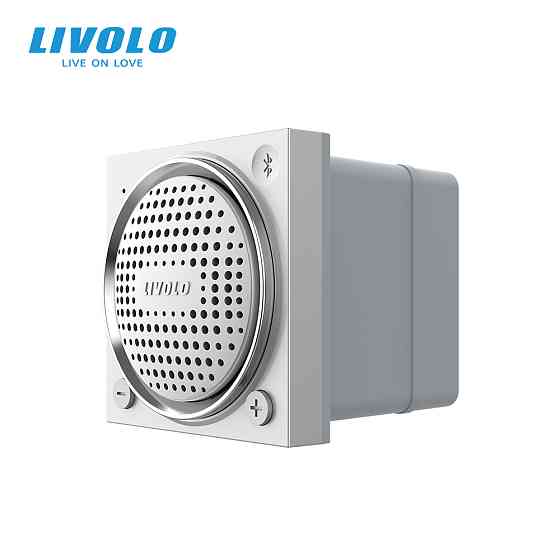 LIVOLO Механізм Bluetooth колонка Livolo сірий (VL-FCF-2IP) Коломыя