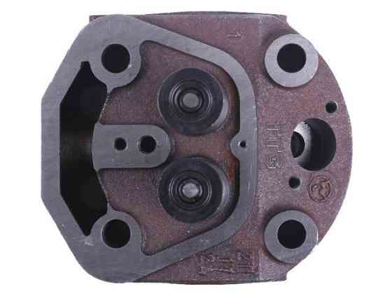 Головка блока циліндра в складанні на дизельний двигун мотоблок 190N Мукачево