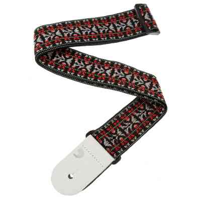 Ремень для гитары D'Addario Nylon Woven Guitar Strap Hootenanny 2 (50G01) Винница