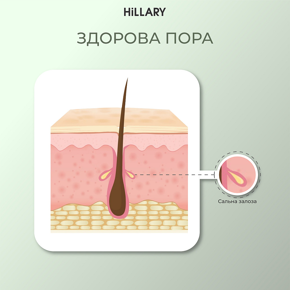 Сонцезахисний крем для обличчя SPF 50 + Набір для догляду за шкірою обличчя нормального типу Hillary Київ - фото 11