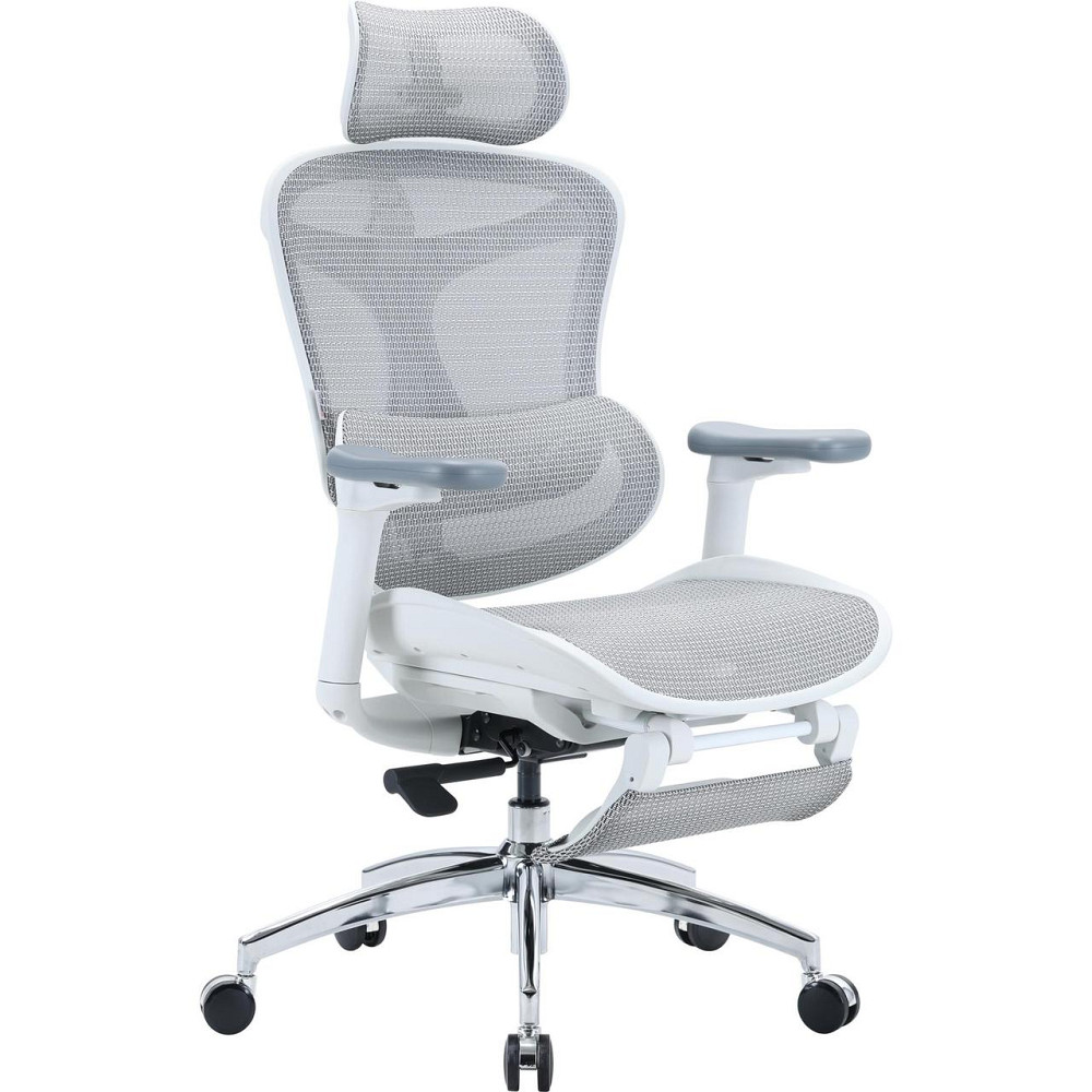 Кресло офисное Sihoo Doro C300L Mesh White with footrest (Doro-C300L-A3-102-JT) ( 14112 ) Харьков - изображение 4