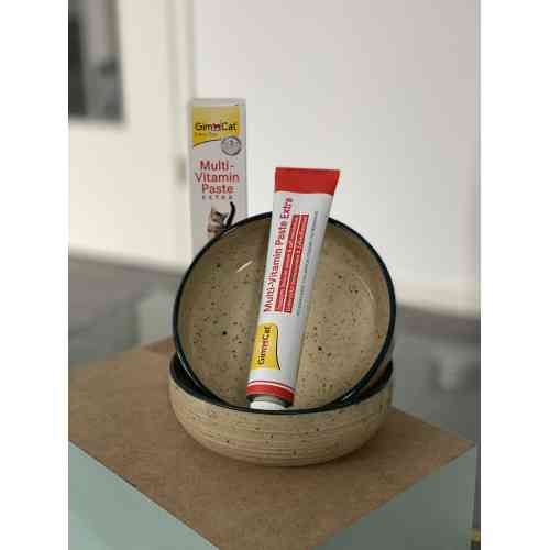 Витамины GimCat Every Day Extra мультивитаминная паста для кошек для улучшения иммунитета 100 г Киев