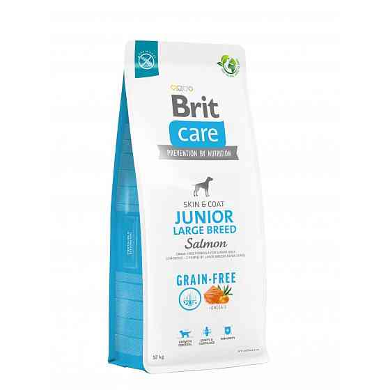 Сухой корм Brit Care Dog Grain-free Junior Large Breed для молодых собак больших пород, беззерновой с лососем, Винница