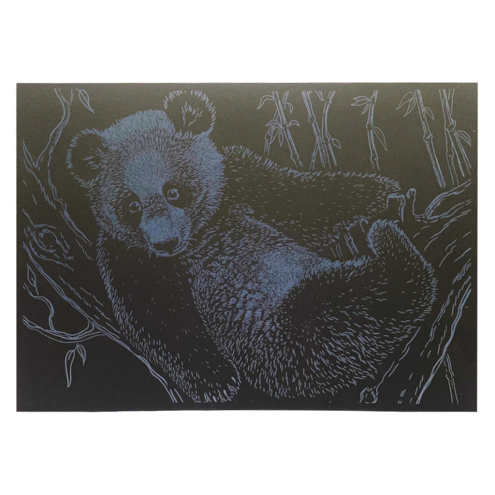 Гравюра А4 "Ведмідь" ГрА4-17с економ варіант в пакеті 29,7х21 см Вінниця - фото 1