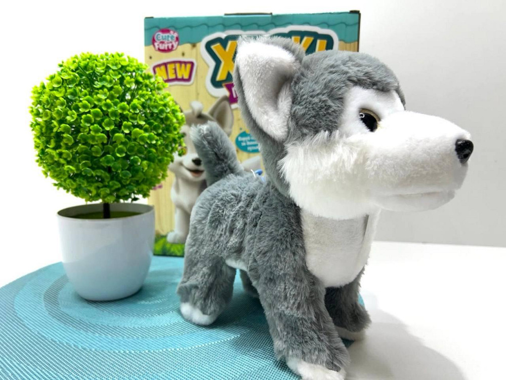 Собачка інтерактивна Хаскі пульт-повідець музика звук пісні ходить виляє хвостом 22см (M 6196 I UA Чернігів - фото 2