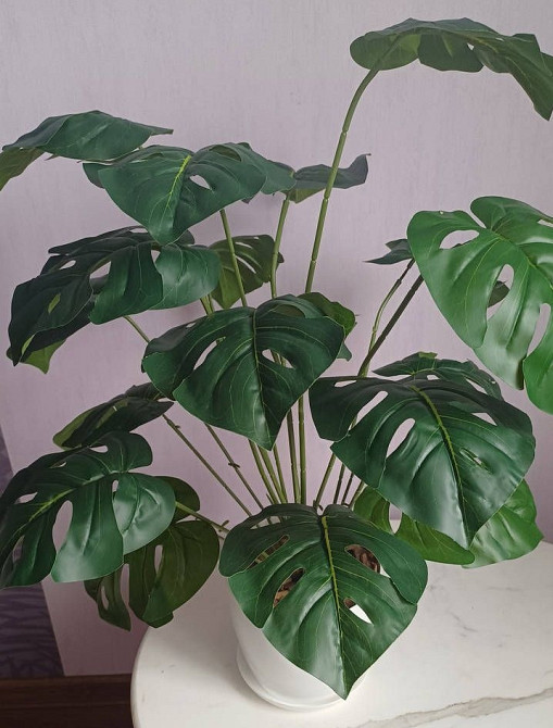 Штучний кущ монстери  із латексу Дніпро - фото 2