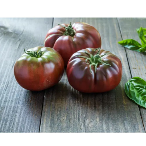 Томат Чорний слон 0,2гр Смачний Житомир - фото 2