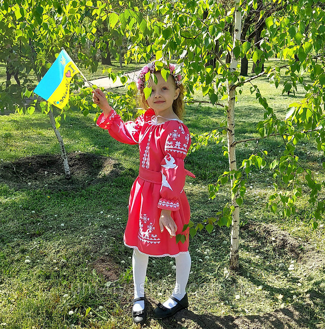 Плаття вишиванка рожеве з ластівками 104-158 Кривий Ріг - фото 1