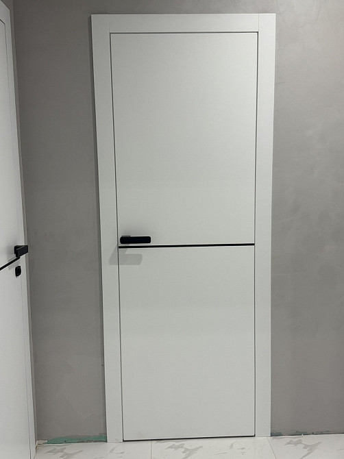 Двері фарбовані, Полотно, AL-1 Біла Емаль, Молдинг Чорний Київ - фото 4