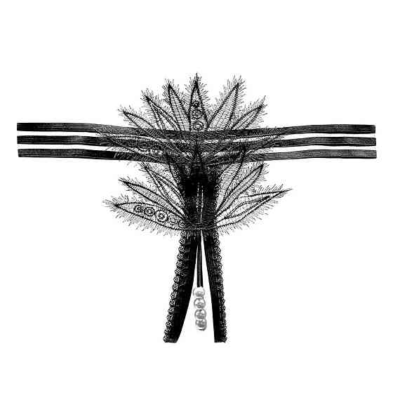 Еротичні трусики з перлами універсальний чорний Київ